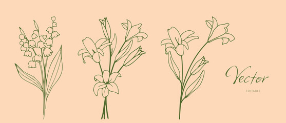 Lily and Lily of the Valley Flowers, a set of botanical hand drawn vector elements. Floral collection of flowers and roses. Minimal style blossom illustration for logo, wedding, invitation, decoration