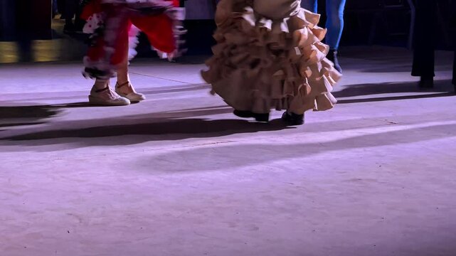 Traditional flamenco dancers moving their feet on stage.