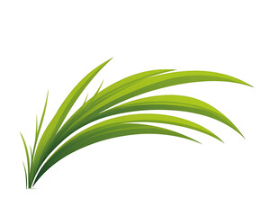 Green grass blades with nature, and white.