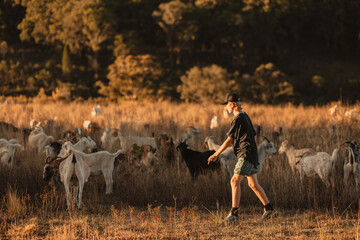 Teenage boy interacting with goats in paddock