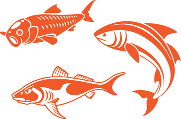 vector illustration of a fish