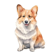 watercolors Cute corgi dog sitting illustration