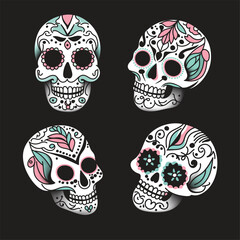 skull illustration. isolate, vintage, Vector illustration.