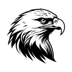 A bold and detailed silhouette of a hawk's head, showcasing its sharp beak, fierce gaze, and streamlined shape. Ideal for wildlife illustrations, sports logos, military insignias