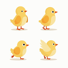 Süße Küken-Illustration: Vier verschiedene Posen

