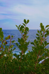 French riviera sea side