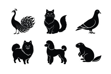 Obraz premium various types of pet animal vector silhouette illustration