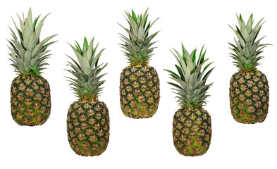 Fresh Pineapples Arranged On White Background in a Symmetrical Composition, Pineapples collection or set. isolated background.