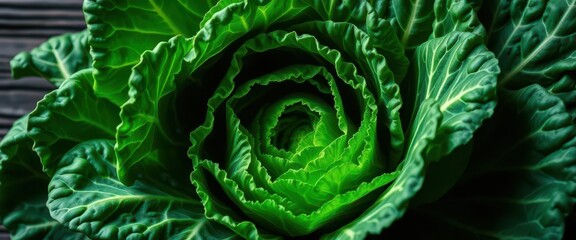 Obraz premium Intricate savoy cabbage leaves, vibrant green and tightly curled, dramatically lit against dark wood, nature, close up