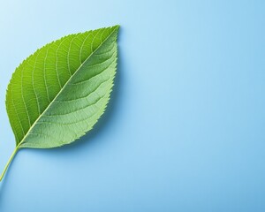 Obraz premium Sustainable practices for a circular economy eco-friendly initiatives promoting clean energy in nature’s embrace