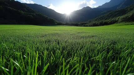 Obraz premium Lush green meadow stretches to mountains, sun shining through