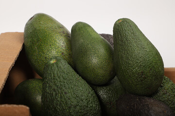 Fresh Avocados in a Box Displaying Vibrant Green and Natural Skin Texture