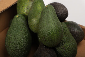 Fresh Avocados in a Box Displaying Vibrant Green and Natural Skin Texture