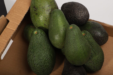 Fresh Avocados in a Box Displaying Vibrant Green and Natural Skin Texture