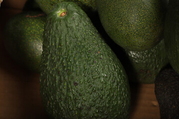 Fresh Avocados in a Box Displaying Vibrant Green and Natural Skin Texture