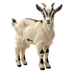 Obraz premium A light beige goat on a white or transparent background.