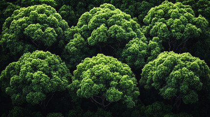 
Aerial view highlighting the intricate features of a sphagnum bog, capturing the unique vegetation and waterlogged terrain, symbolizing nature&rsquo;s resilience and ecological balance.

