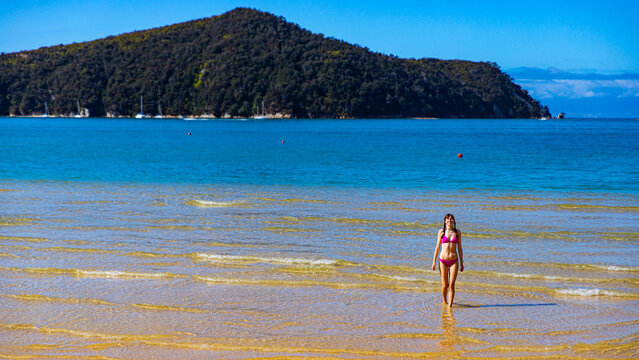 beautiful girl in bikini enjoys a dip in the turquoise water of Abel Tasman National Park, New Zealand South Island; swimming in Stilwell bay with Adele Island in the background
