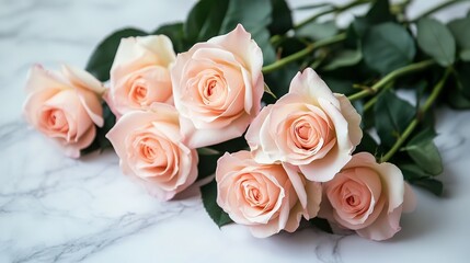 Obraz premium Delicate light peach colored roses lie gently on a marble surface