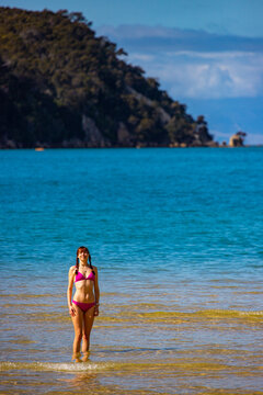 beautiful girl in bikini enjoys a dip in the turquoise water of Abel Tasman National Park, New Zealand South Island; swimming in Stilwell bay with Adele Island in the background
