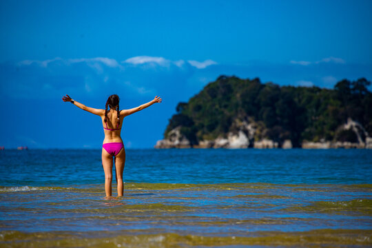 beautiful girl in bikini enjoys a dip in the turquoise water of Abel Tasman National Park, New Zealand South Island; swimming in Stilwell bay with Adele Island in the background