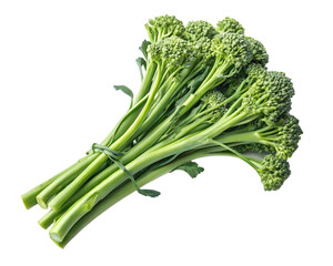  fresh broccolini transparent background