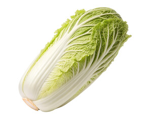 A single head of napa cabbage with light green leaves and white ribs isolated ]transparent background