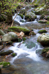 Fast flowing mountain river with vertical mossy stones