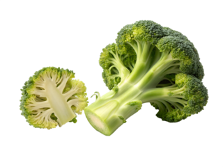 A vibrant broccoli floret and a cross section transparent background