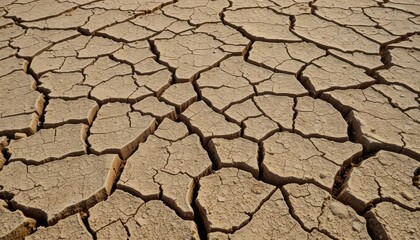 High-Resolution Cracked Desert Ground Texture Dry, Parched Soil