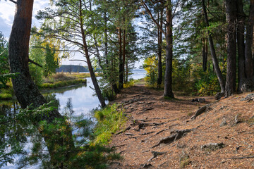 Autumn landscape - forest river and yellowed autumn trees at autumn evening, autumn landscape scene in sunny evening