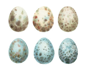 Watercolor quail egg set beige and blue. Hand drawn speckled shells. Vintage Easter art for design. Spotted eggs are perfect for card and print. Classic artwork for religious and farm design.