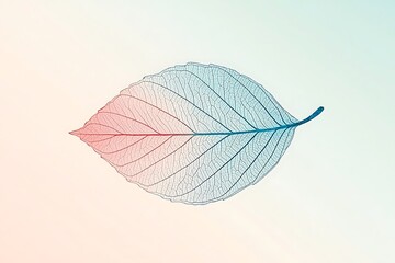 Pastel Skeleton Leaf for Soft Background.