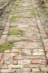 Rustic Brick Pathway with Moss Growth, Old Brick Road, Vintage Texture
