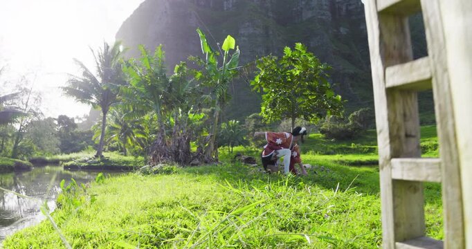 Girl in fantasy outfit soaring across tropical pond on wires and landing gracefully - wide, tracking shot