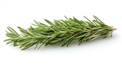Fresh Rosemary Sprig