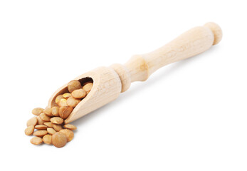Raw lentils in wooden scoop isolated on white