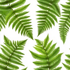 Vibrant Green Fern Fronds On White Background