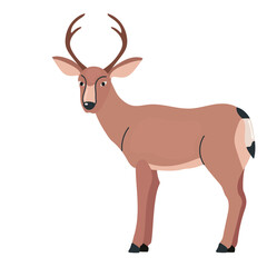 Fototapeta premium Mule deer icon clipart avatar logotype isolated illustration