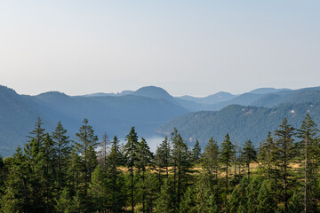 Aerial panoramic view of Saanich Inlet in Vancouver Island British Columbia Canada