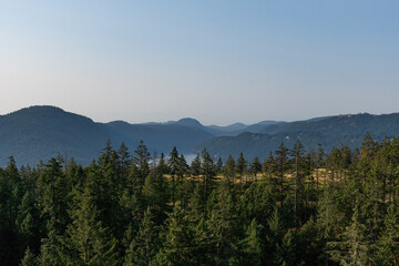 Aerial panoramic view of Saanich Inlet in Vancouver Island British Columbia Canada