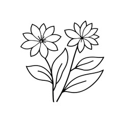 Obraz premium Minimalist botanical illustration in black and white, featuring two stylized flowers with delicate
