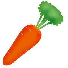 フチなしシンプル人参のイラスト