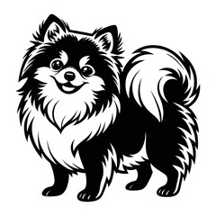 Obraz premium Adorable Black and White Pomeranian Dog Illustration