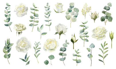Collection of white flowers and greenery in watercolor style showcasing diverse arrangements and natural beauty