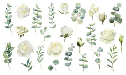 Collection of white flowers and greenery in watercolor style showcasing diverse arrangements and natural beauty
