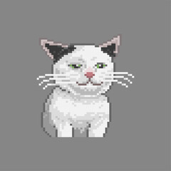 Ugly and tired cat, pixel art meme