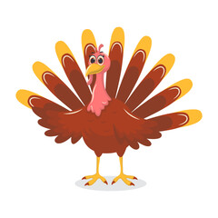 Thanksgiving Turkey Cartoon Character on White Background. Vector Illustration.
