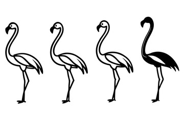 set of Flamingo silhouette vector illustration