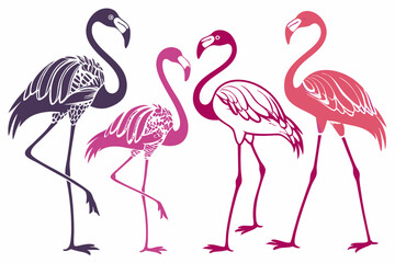 set of Flamingo silhouette vector illustration